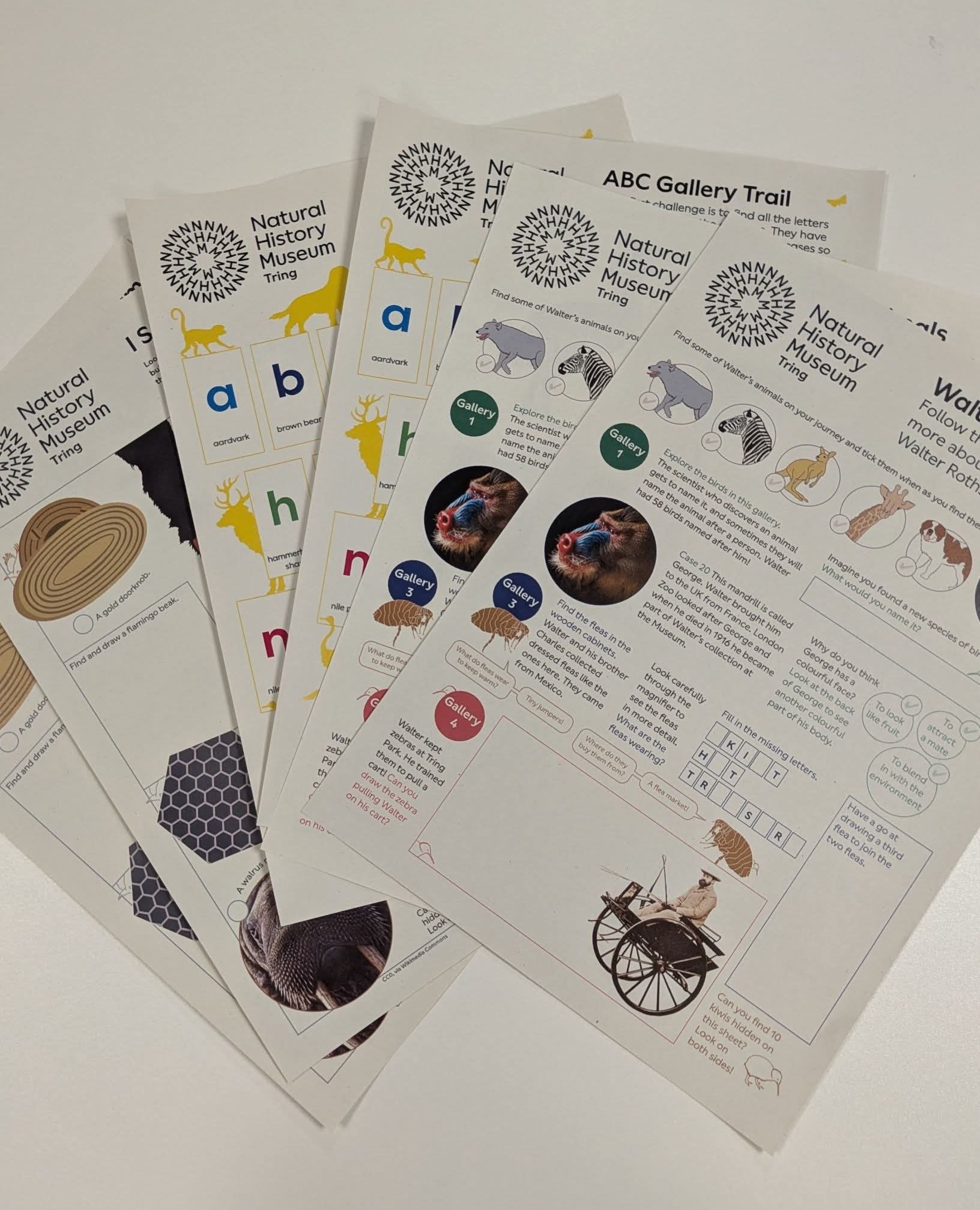 🐒 Trail at Tring Natural History Museum - Easter Half Term 2026 - Event Image 2 March 30, 2026 10:00 AM