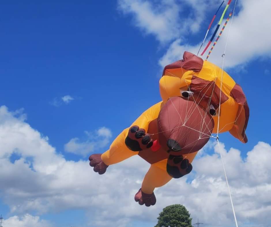 🪁Kites Connect Festival - Dunstable Downs - Event Image 2 August 17, 2024 10:00 AM