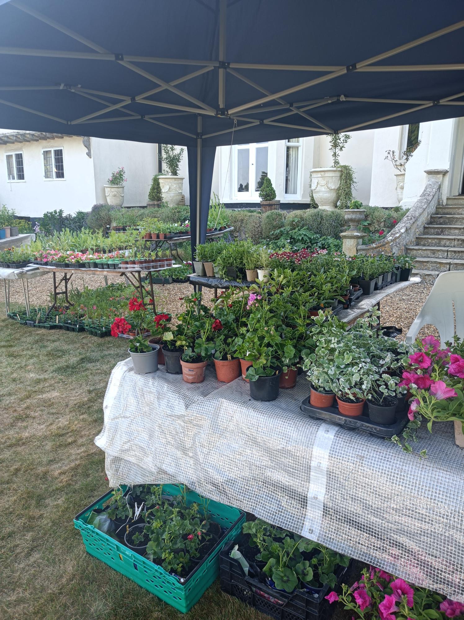 🌱🦆 Sutton Plant Sale & Art Exhibition 2026 - Event Image 2 May 16, 2026 10:00 AM