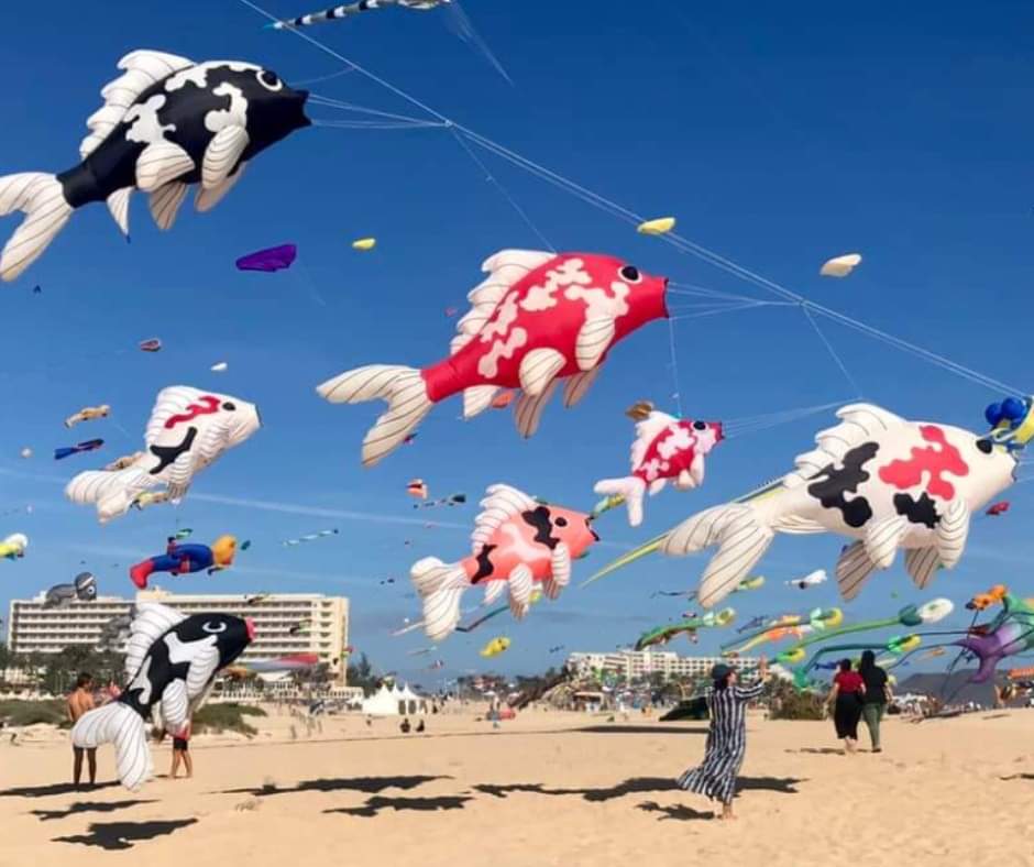 🪁Kites Connect Festival - Dunstable Downs - Event Image 3 August 17, 2024 10:00 AM