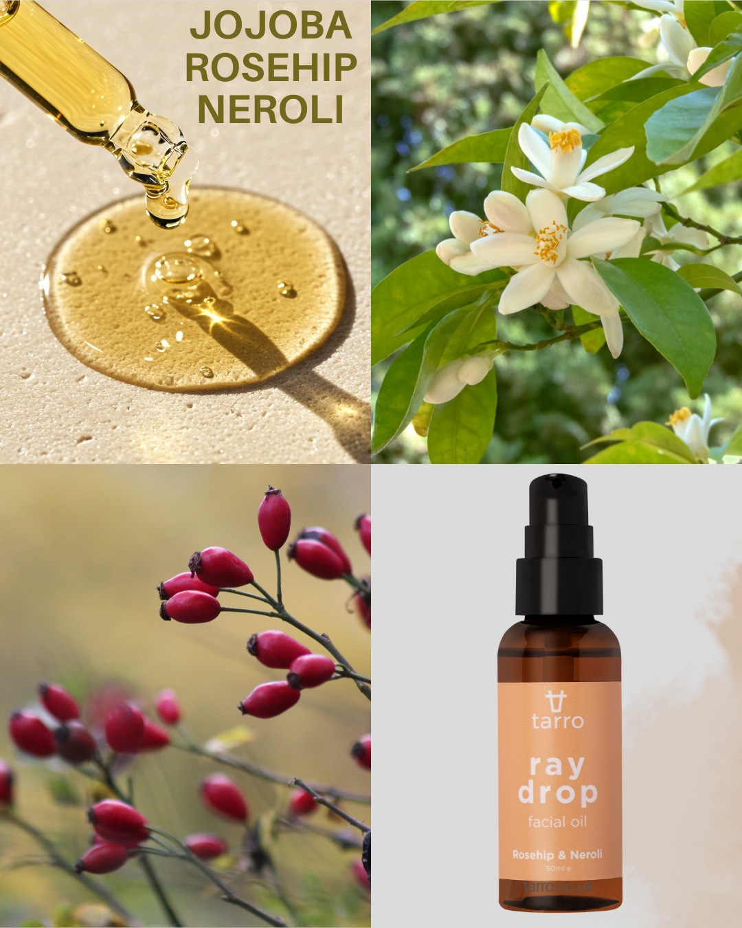 😌 Summer Wellness Evening, June 2026 - Wilden - Event Image 4 June 19, 2026 06:00 PM