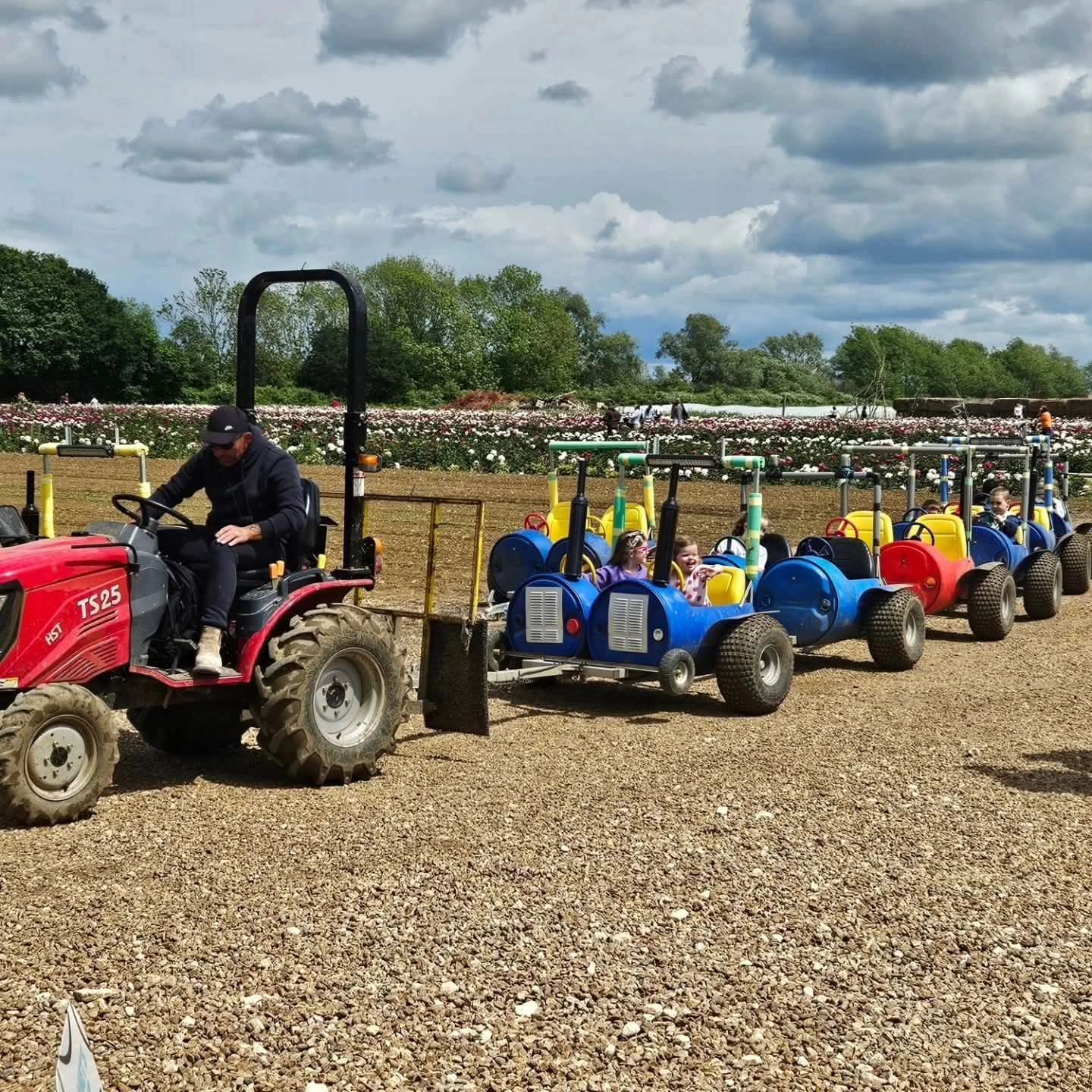 🌸 Peony Flower Picking 2026- Secret Farm, Moggerhanger  - Event Image 2 May 16, 2026 10:00 AM