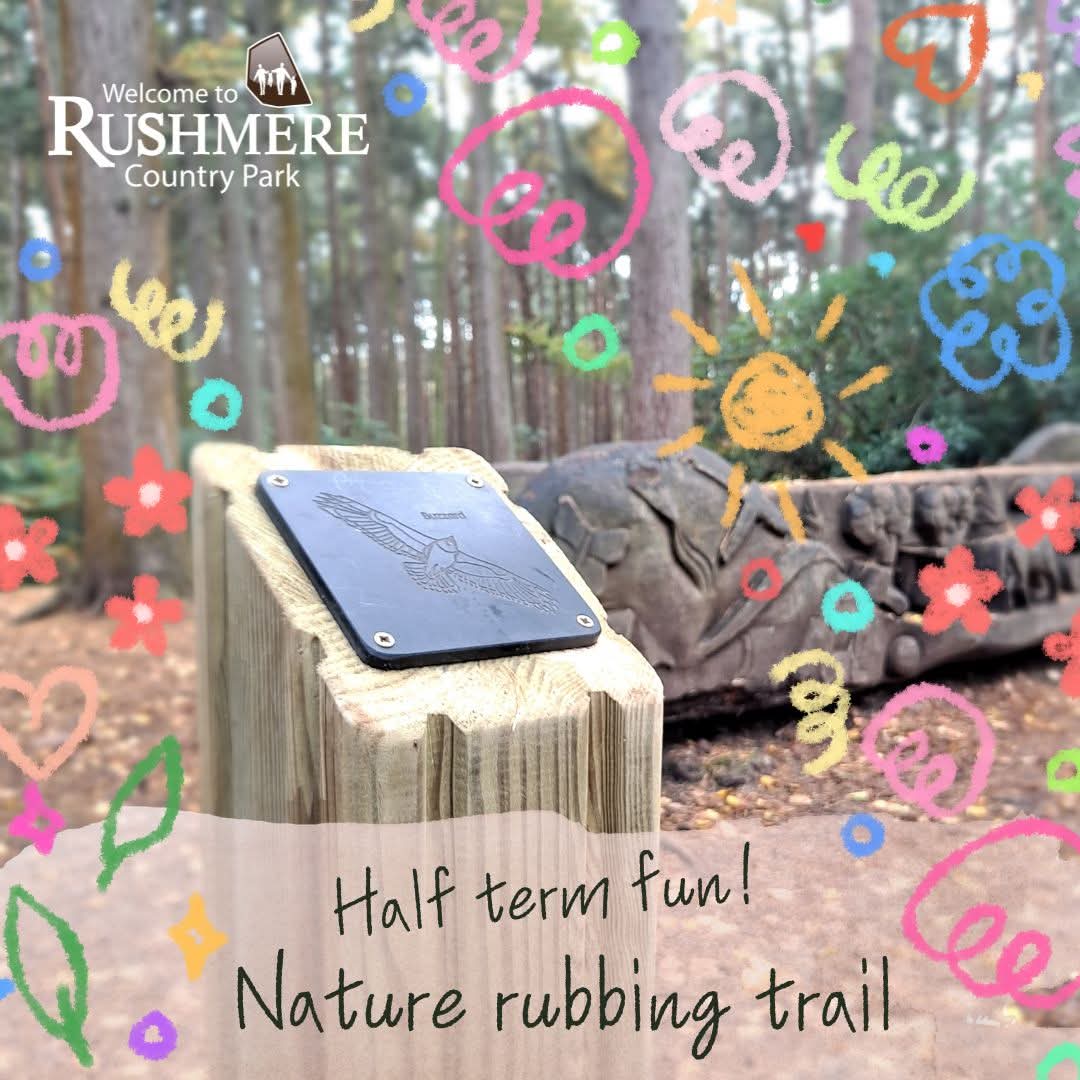 🌳 Rushmere Nature Rubbing Trail - May 2026 - Event Image 2 May 23, 2026 09:00 AM