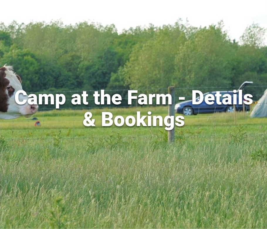 🐮 May Half Term Fun 2026 at Ardeley Farm, Hertfordshire (camping options) - Event Image 2 May 25, 2026 09:00 AM