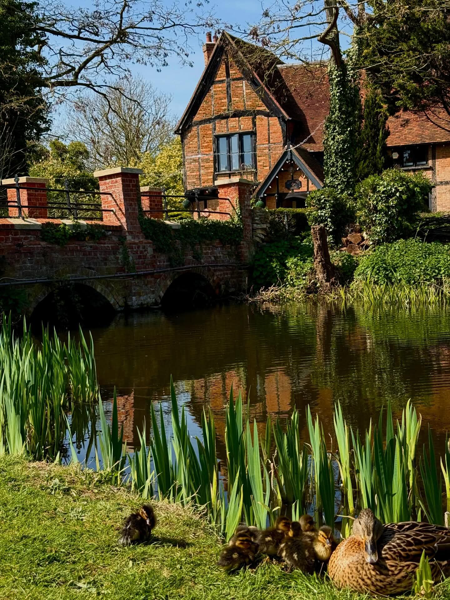🕺 Soul & Motown at Moreteyne Manor  - Event Image 2 May 16, 2026 06:00 PM