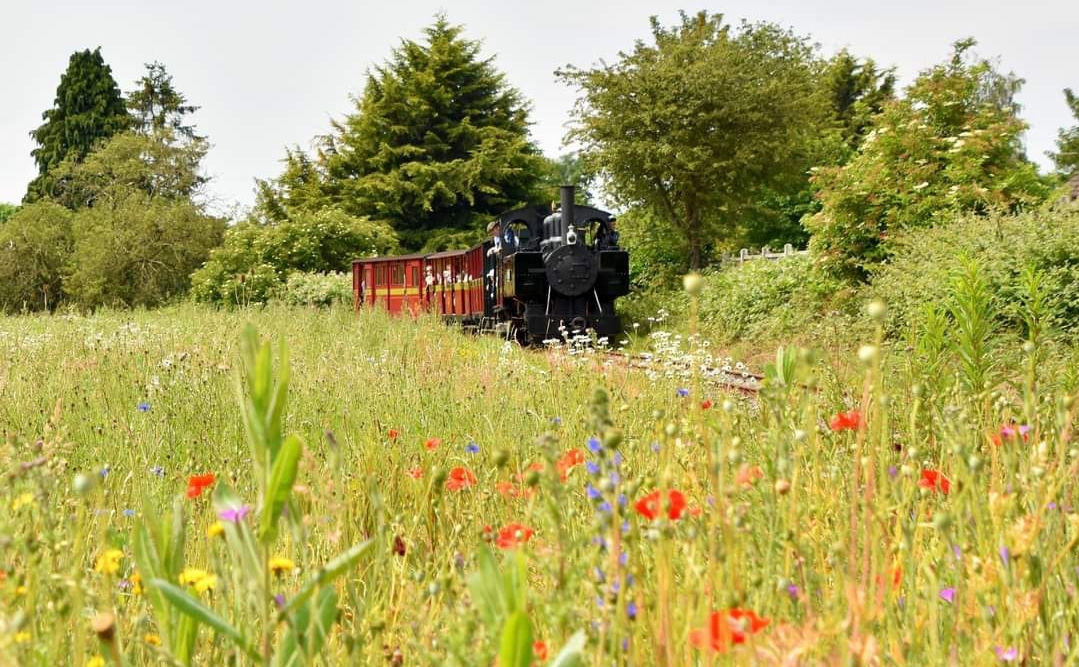 🏴‍☠️ PIRATES WEEKEND AT LEIGHTON BUZZARD STEAM RAILWAY  - Event Image 4 August 26, 2024 