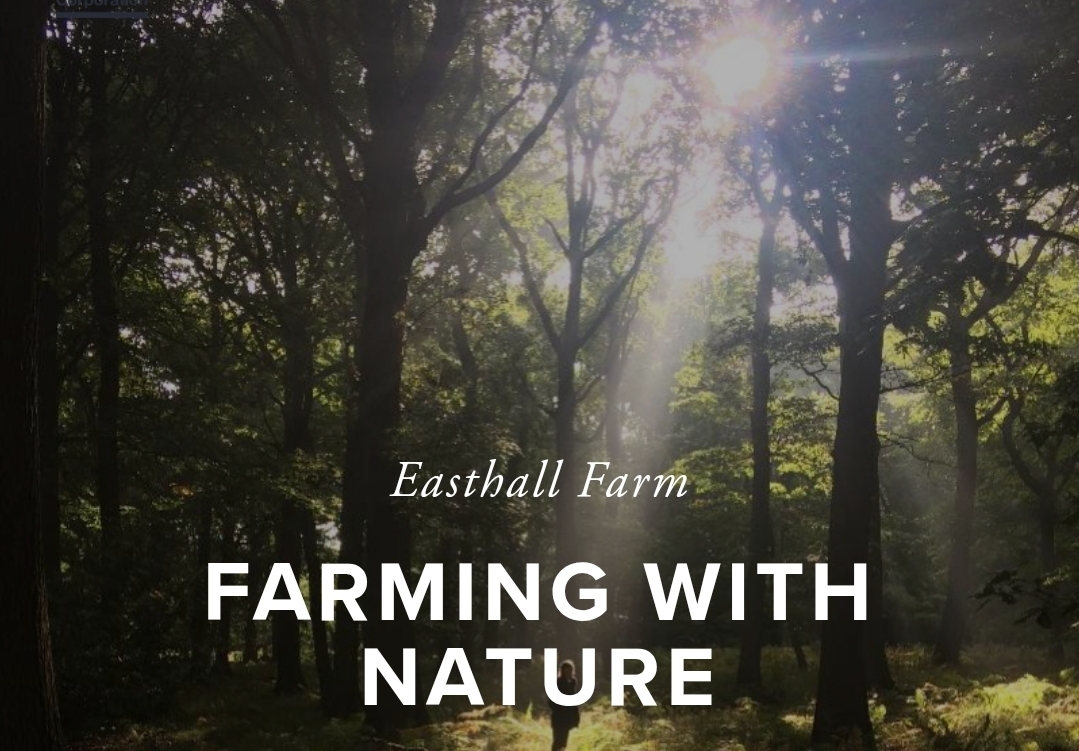 🚜 Open Farm Day 2026 - Easthall Farm, Hitchin - Event Image 2 May 31, 2026 02:30 PM