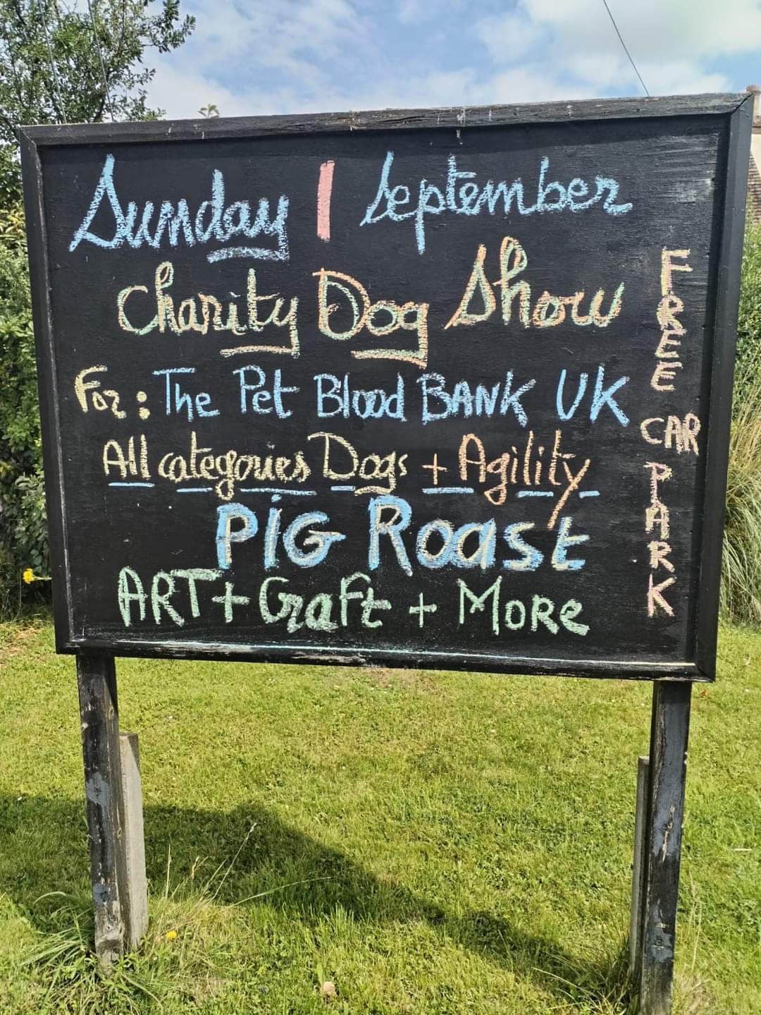 🐶The Pet Blood Bank UK Dog Show - Wootton - Event Image 2 September 01, 2024 