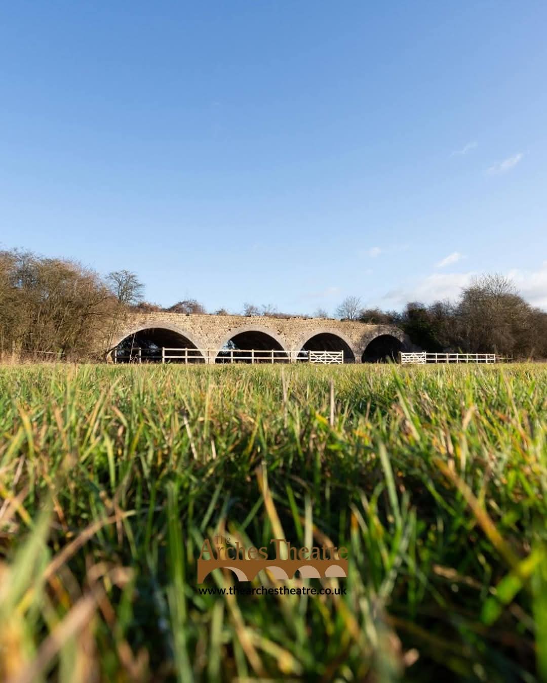 🎭 The Tweflth Night - The Arches Theatre, Clifton Reynes - Event Image 2 August 02, 2026 02:00 PM