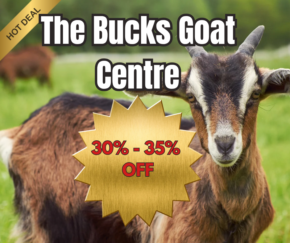 🐐 Groupon has a great discount on The Bucks Goat Centre and you can use the voucher in half term! -  (30% - 35% off) Valid from January 09, 2026 
