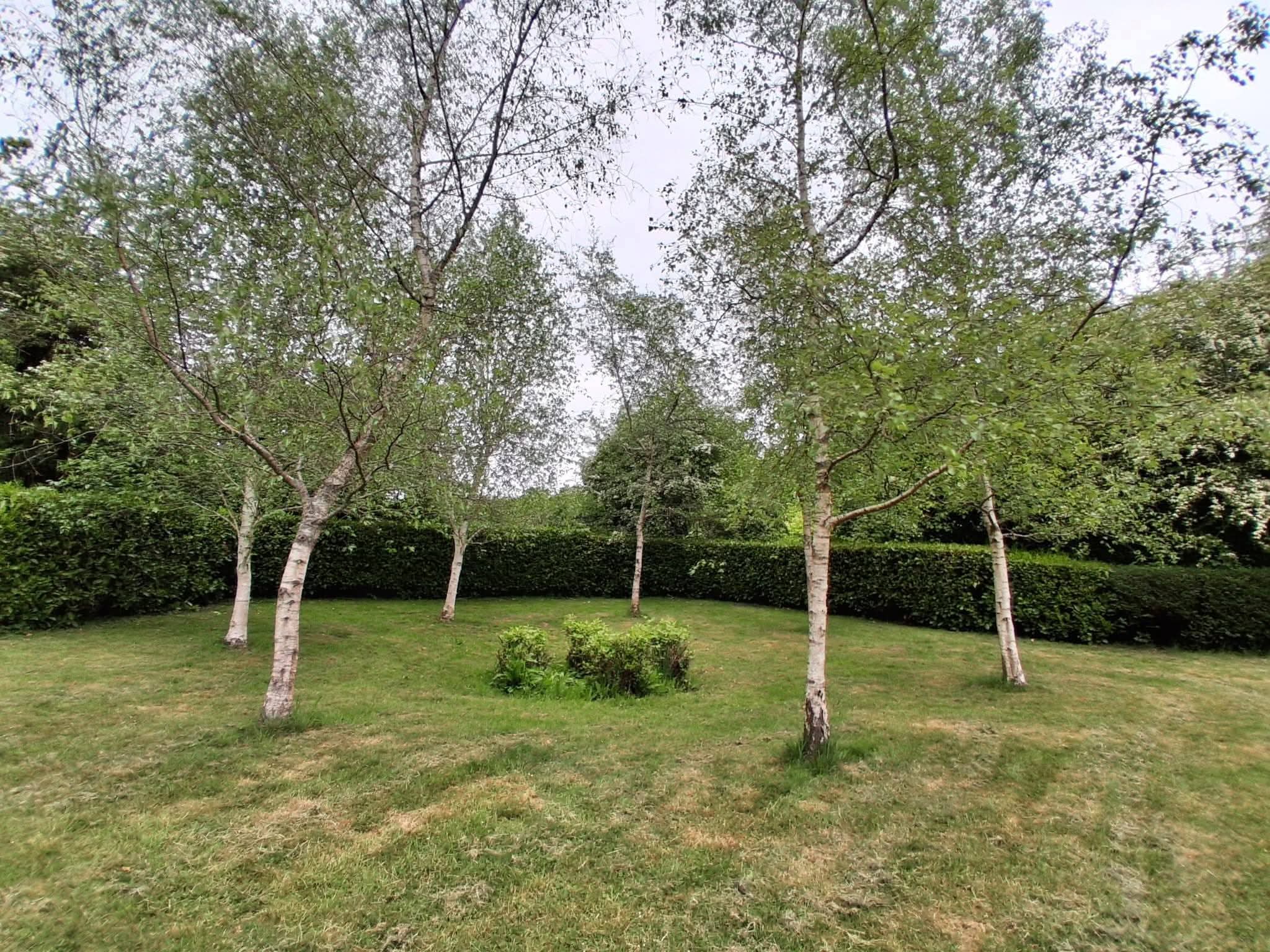 🌳 Whipsnade Tree Catherdral Service & Celebration 2026 - Event Image 3 June 07, 2026 11:00 AM