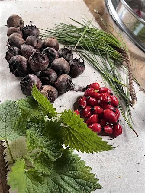 🌱 Autumn Foraging With Tapas Tasters - Tiddenfoot Waterside Park - September 12, 2026 10:00 AM at Tiddenfoot Waterside Park, Mentmore Road, Leighton Buzzard, LU7 2AE