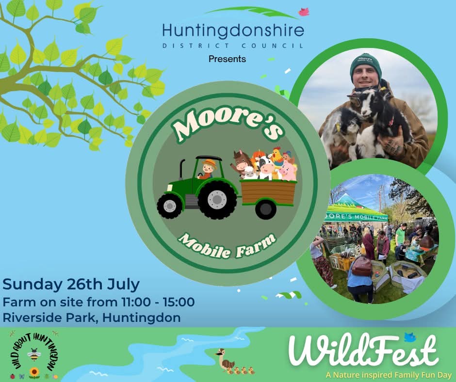 🌿 WildFest 2026 - Riverside Park, Huntingdonshire  - Event Image 2 July 26, 2026 11:00 AM