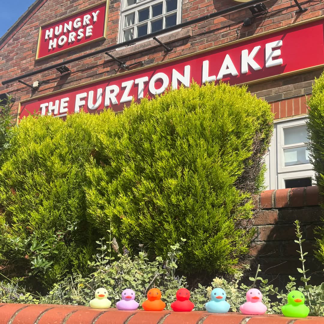 🦆 Furzton Lake Duck Race - August 2026 (Hungry Horse) - Event Image 3 August 31, 2026 12:00 PM