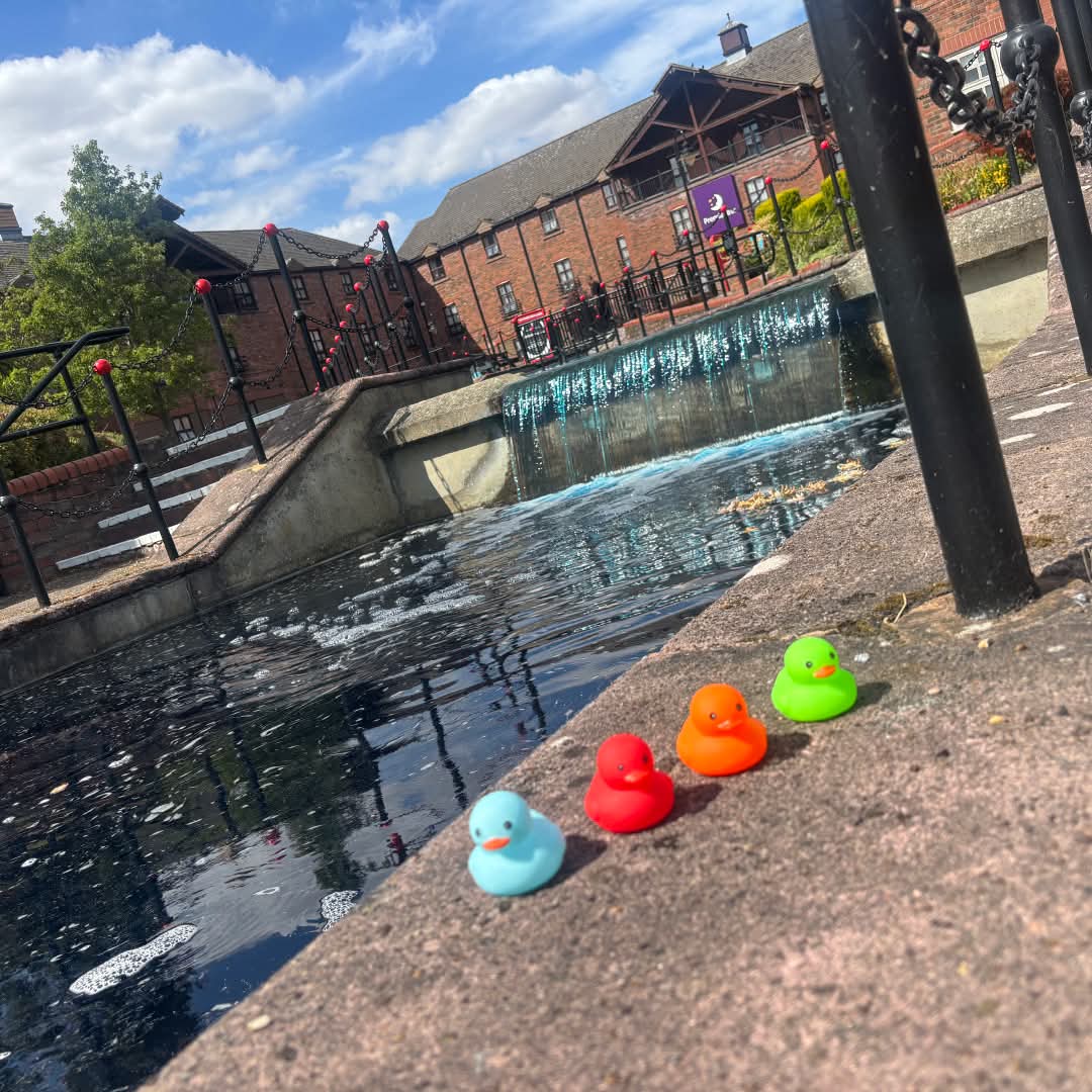 🦆 Furzton Lake Duck Race - August 2026 (Hungry Horse) - Event Image 4 August 31, 2026 12:00 PM