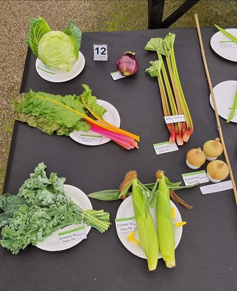 💐The Horticultural Show At Milton Ernest Garden Centre  - Event Image 3 August 26, 2024 
