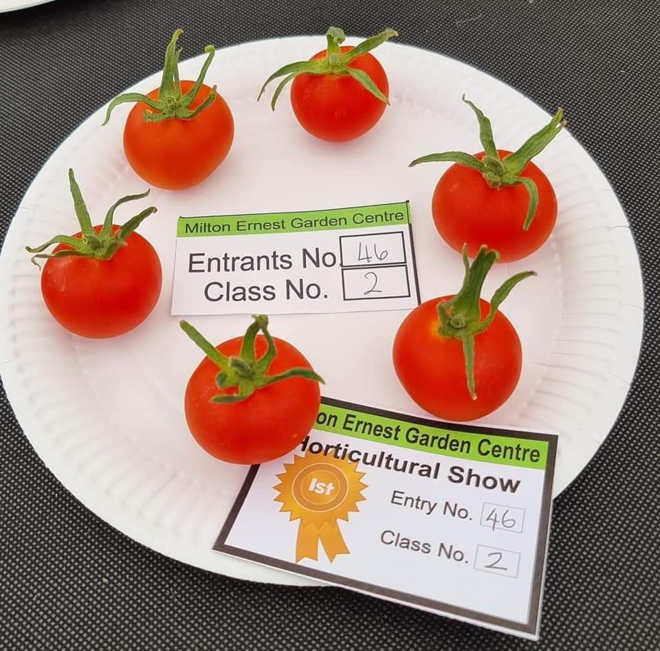💐The Horticultural Show At Milton Ernest Garden Centre  - Event Image 4 August 26, 2024 