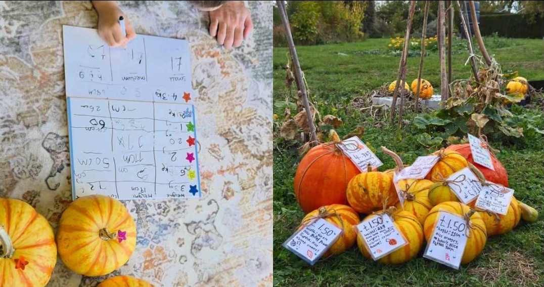 🍎 🍰 Free Apple Pressing & Coffee Morning - Dunton Community Garden  - Event Image 3 October 24, 2026 10:30 AM
