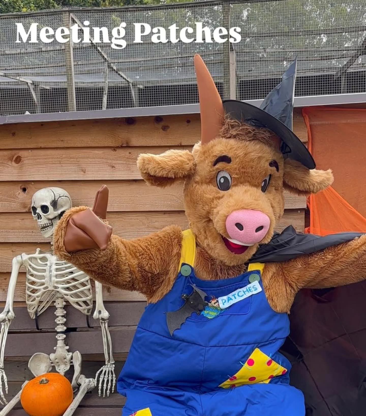 🕷 Spooktacular 2026 at Woodside Animal Farm  - Event Image 3 October 28, 2026 10:00 AM