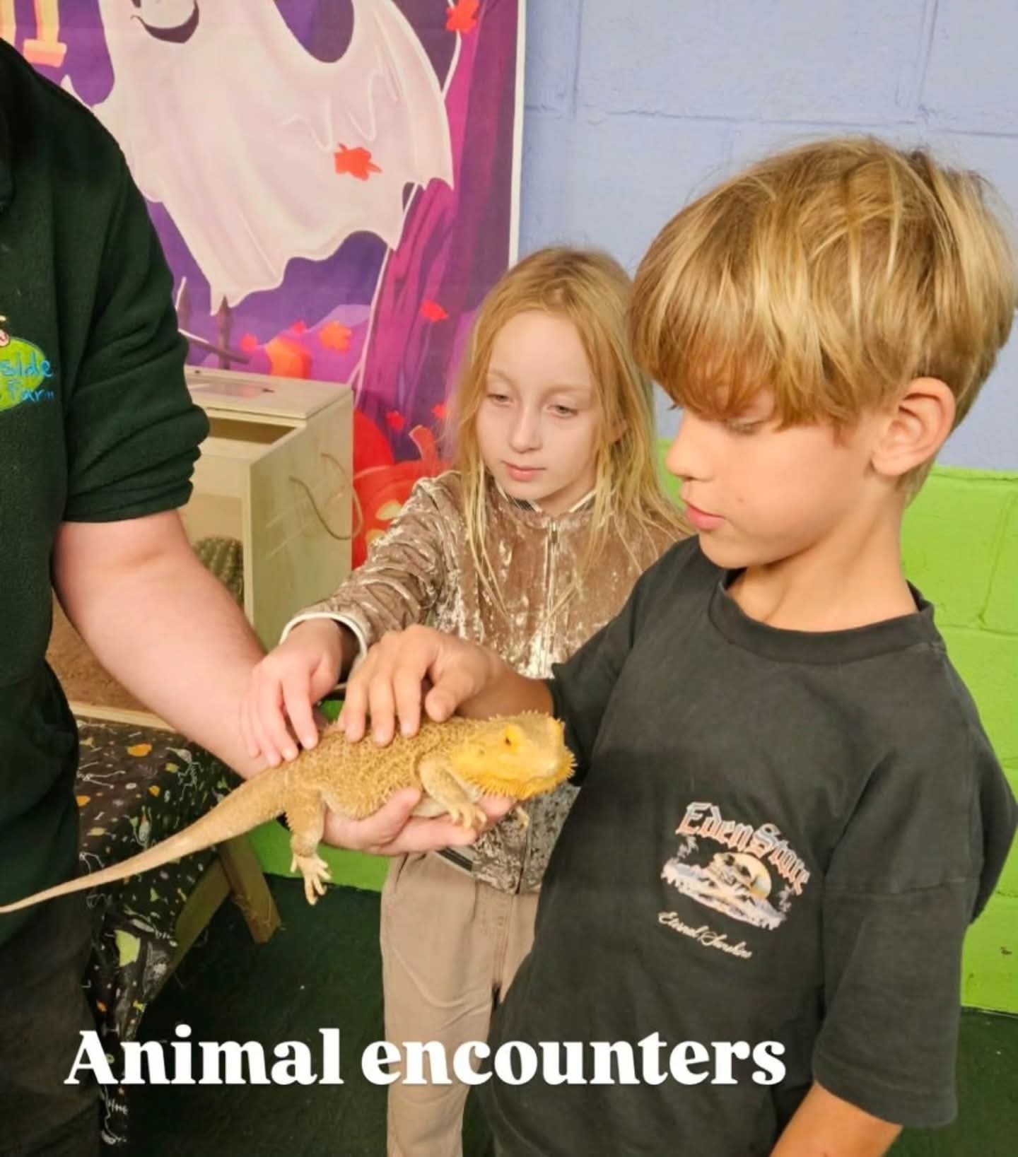 🕷 Spooktacular 2026 at Woodside Animal Farm  - Event Image 5 October 28, 2026 10:00 AM