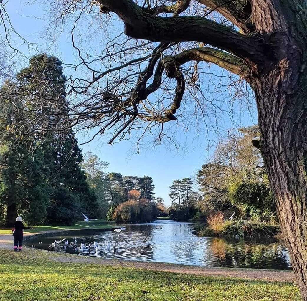 🎶 FREE SUNDAY SESSIONS - LIVE ACOUSTIC - The pavilion, Bedford - Event Image 4 September 01, 2024 02:00 PM