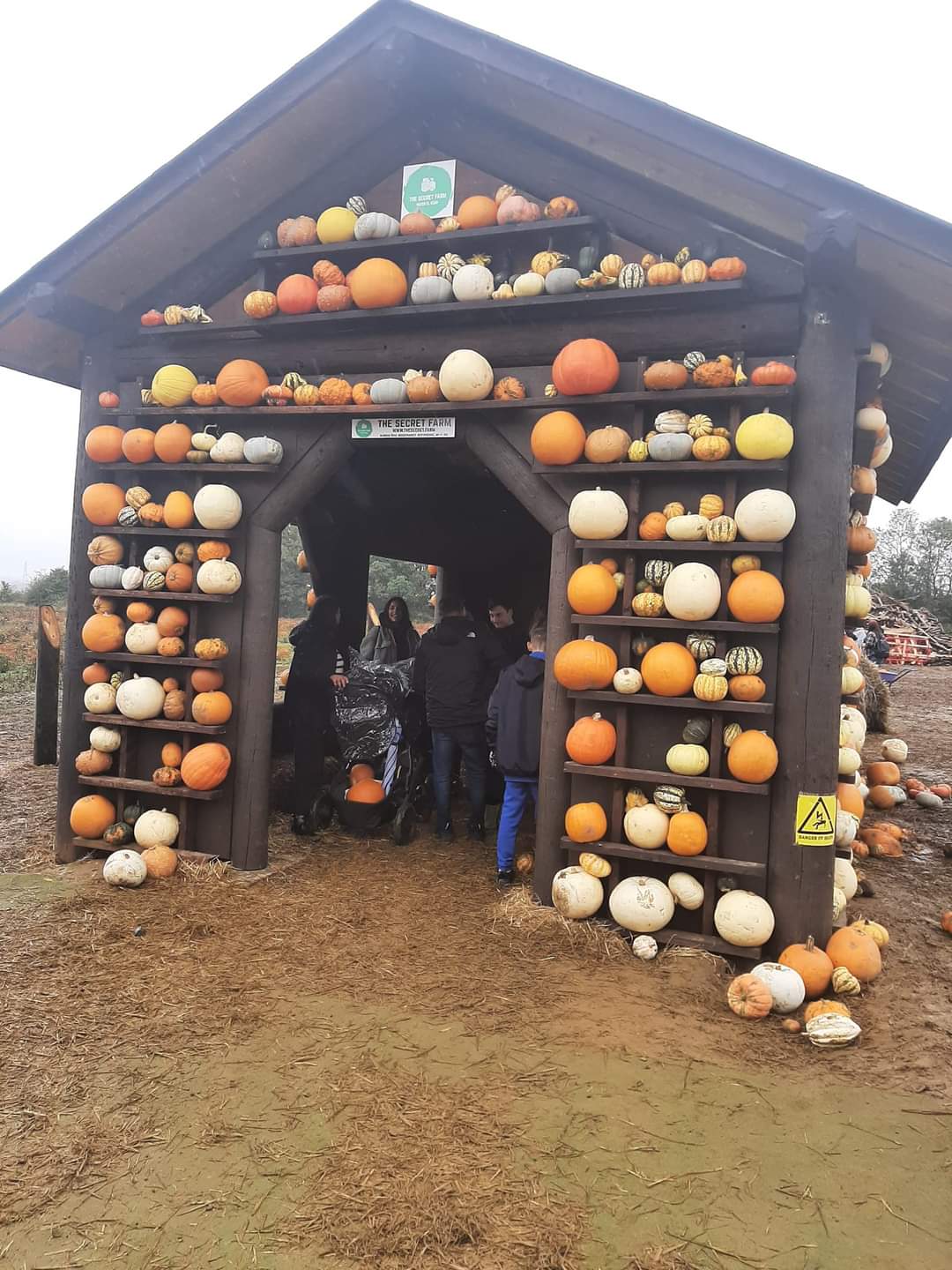 🎃 The Secret Farm Halloween, Pumpkin Patch  (Tickets only event)  - Moggerhanger   - Event Image 2 October 28, 2024 