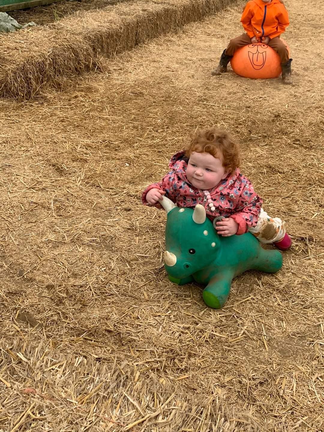 🎃 The Secret Farm Halloween, Pumpkin Patch  (Tickets only event)  - Moggerhanger   - Event Image 3 October 28, 2024 