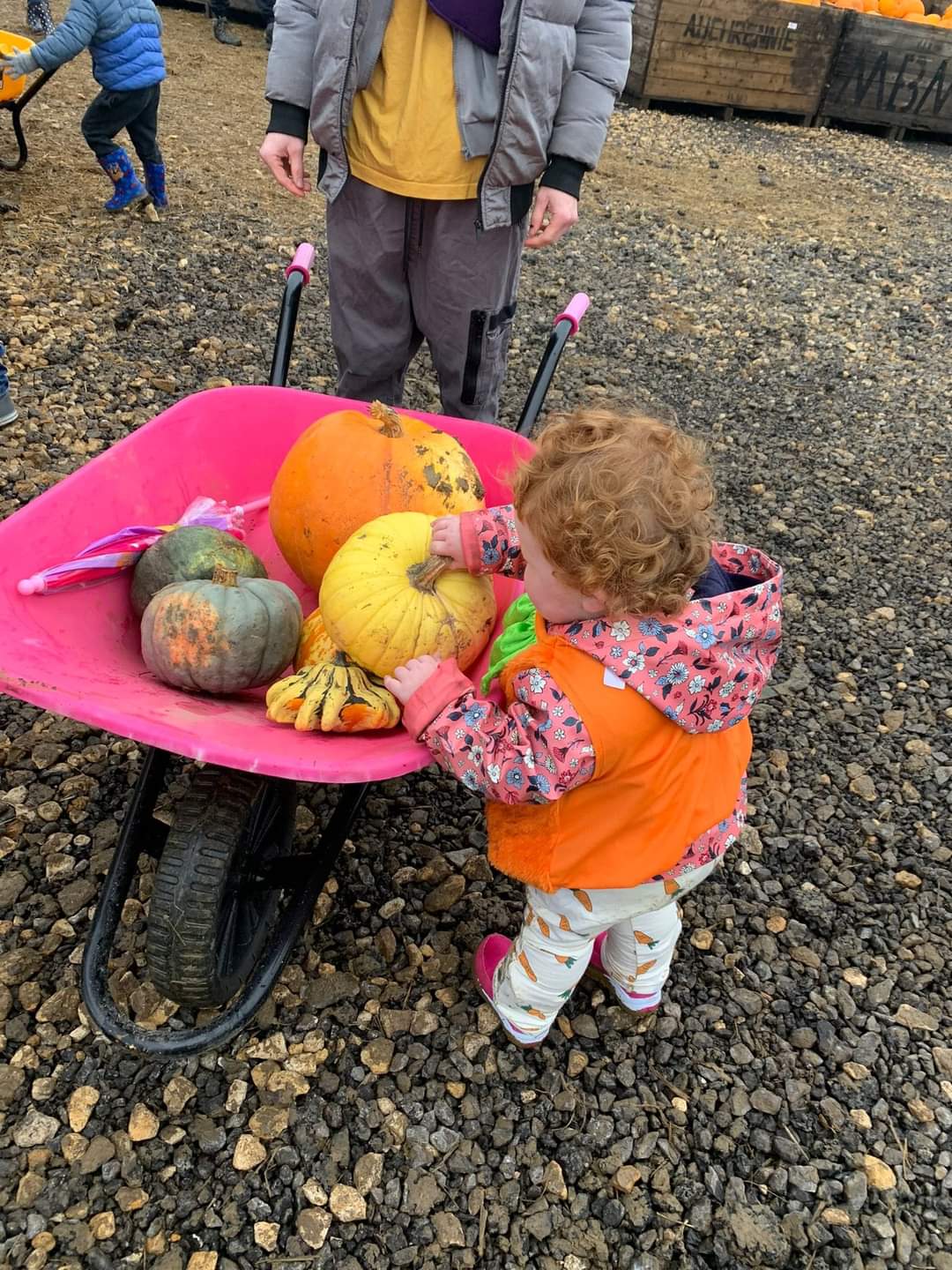 🎃 The Secret Farm Halloween, Pumpkin Patch  (Tickets only event)  - Moggerhanger   - Event Image 4 October 28, 2024 