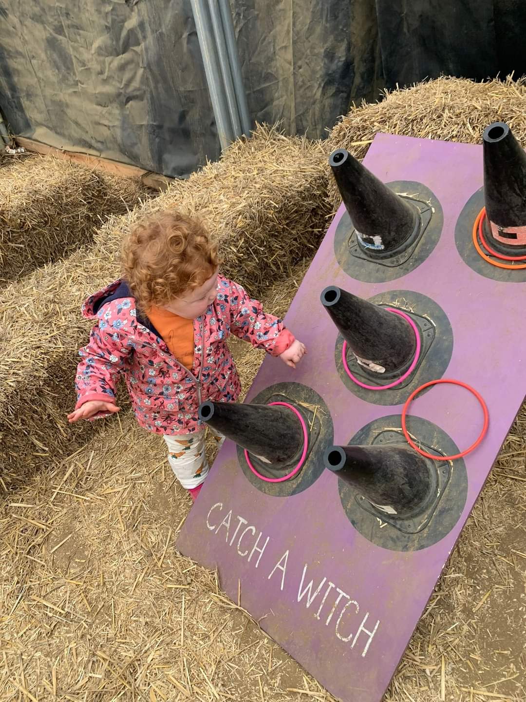 🎃 The Secret Farm Halloween, Pumpkin Patch  (Tickets only event)  - Moggerhanger   - Event Image 6 October 28, 2024 