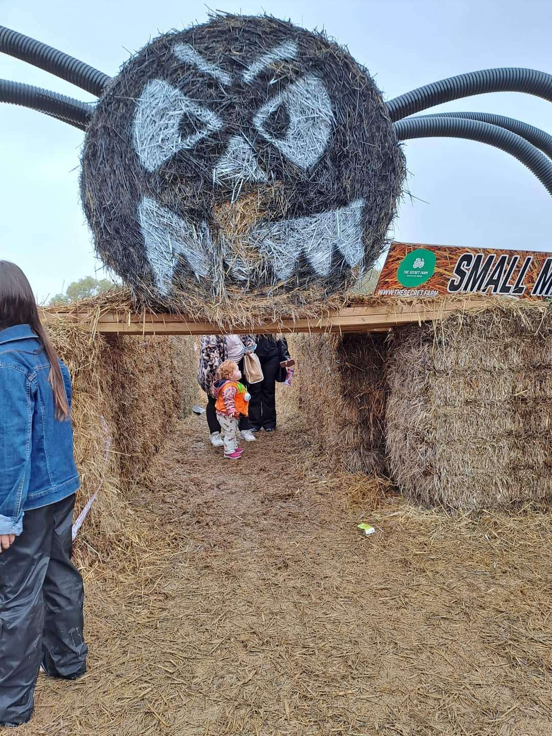 🎃 The Secret Farm Halloween, Pumpkin Patch  (Tickets only event)  - Moggerhanger   - Event Image 7 October 28, 2024 