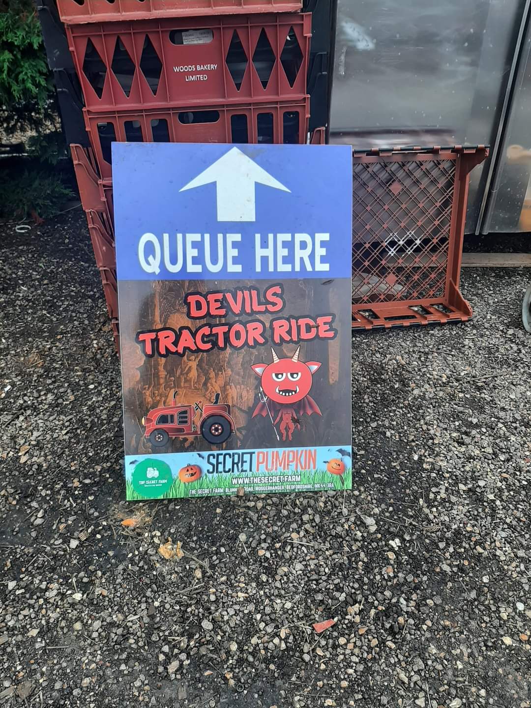 🎃 The Secret Farm Halloween, Pumpkin Patch  (Tickets only event)  - Moggerhanger   - Event Image 13 October 28, 2024 