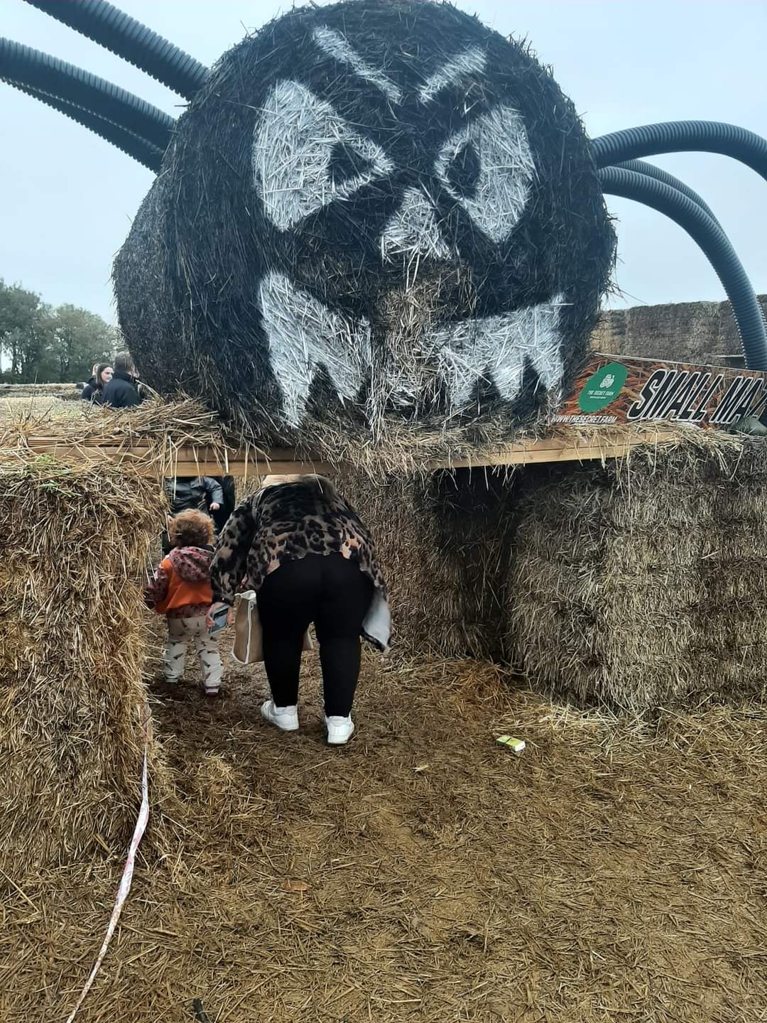 🎃 The Secret Farm Halloween, Pumpkin Patch  (Tickets only event)  - Moggerhanger   - Event Image 17 October 28, 2024 