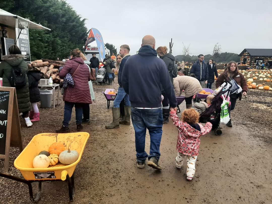🎃 The Secret Farm Halloween, Pumpkin Patch  (Tickets only event)  - Moggerhanger   - Event Image 23 October 28, 2024 