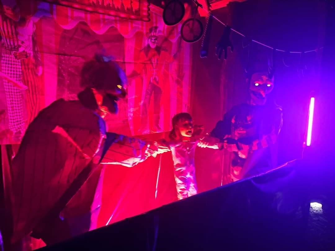 🎃 The Secret Farm Halloween, Pumpkin Patch  (Tickets only event)  - Moggerhanger   - Event Image 25 October 28, 2024 