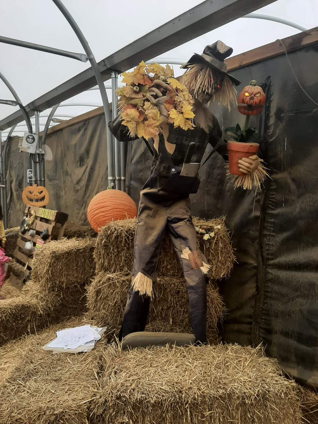 🎃 The Secret Farm Halloween, Pumpkin Patch  (Tickets only event)  - Moggerhanger   - Event Image 28 October 28, 2024 