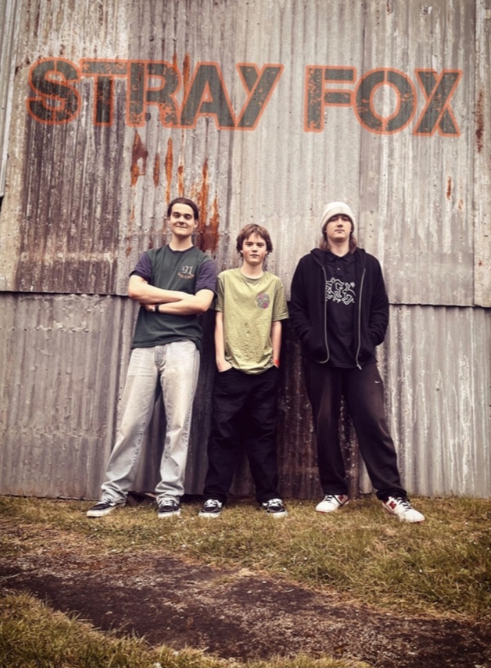 🎤 Stray Fox Halloween Party with Sonik Induction & Friends - Event Image 2 October 31, 2024 04:30 PM
