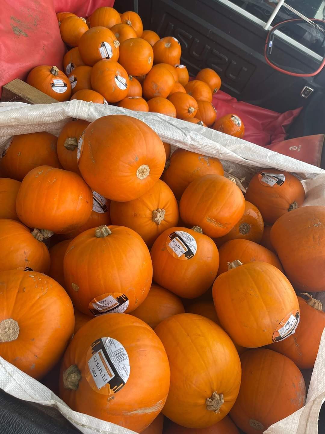 🎃 Free Halloween Pumpkin Carving - Flitwick at The Hub Dunstable Road Flitwick, Bedford MK45 1HP
| Creative, Family, Free, Kids, Seasonal, Teens | Suitable for: Children, Family 🎃 Free Halloween Pumpkin Carving - Flitwick - Event Image 2 October 29, 2024 10:00 AM
