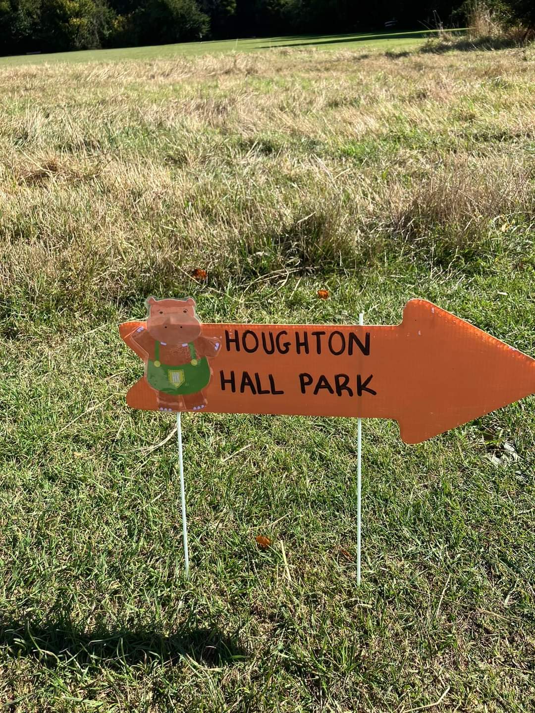 🎭 🤸‍♂️FREE HULLABALOO OUTDOOR THEATRE - Houghton Regis - Event Image 8 September 14, 2024 