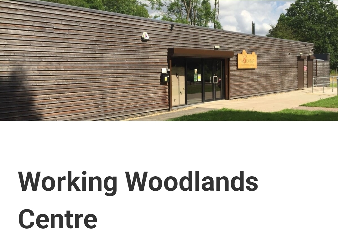 🪵 Free Woodland Crafts Day - Maulden Wood - Event Image 2 October 13, 2024 10:00 AM