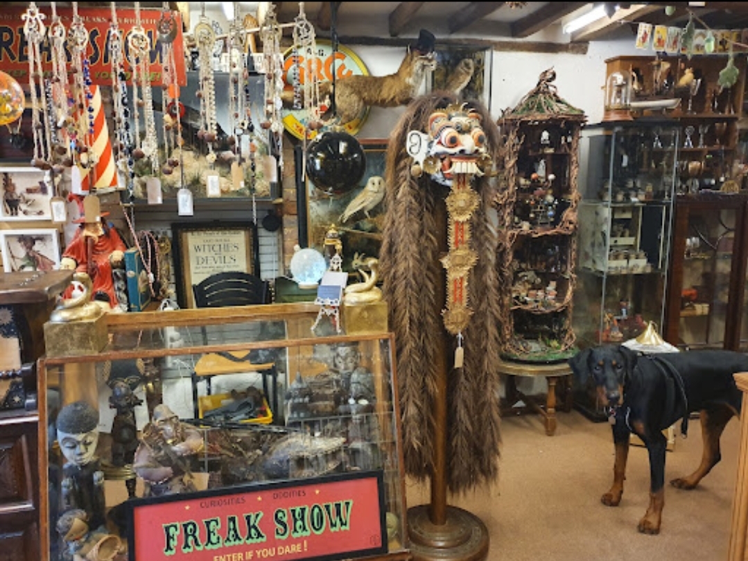 🧙‍♀️ Raven & Broomstick Halloween Market - Leighton Buzzard - Event Image 4 October 27, 2024 11:00 AM