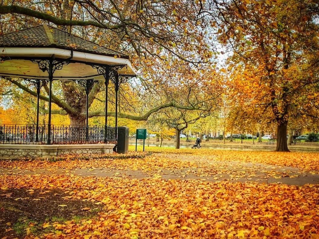 💖 Women for women Support Group - Bedford at The Bandstand, Bedford, Bedfordshire MK42 0BX | Adults, Free, Outdoor, Parks, Recurring, Social, Support Group, Scenic | Suitable for: Accessible 💖 Women for women Support Group - Bedford - Event Image 2 November 09, 2024 03:00 PM