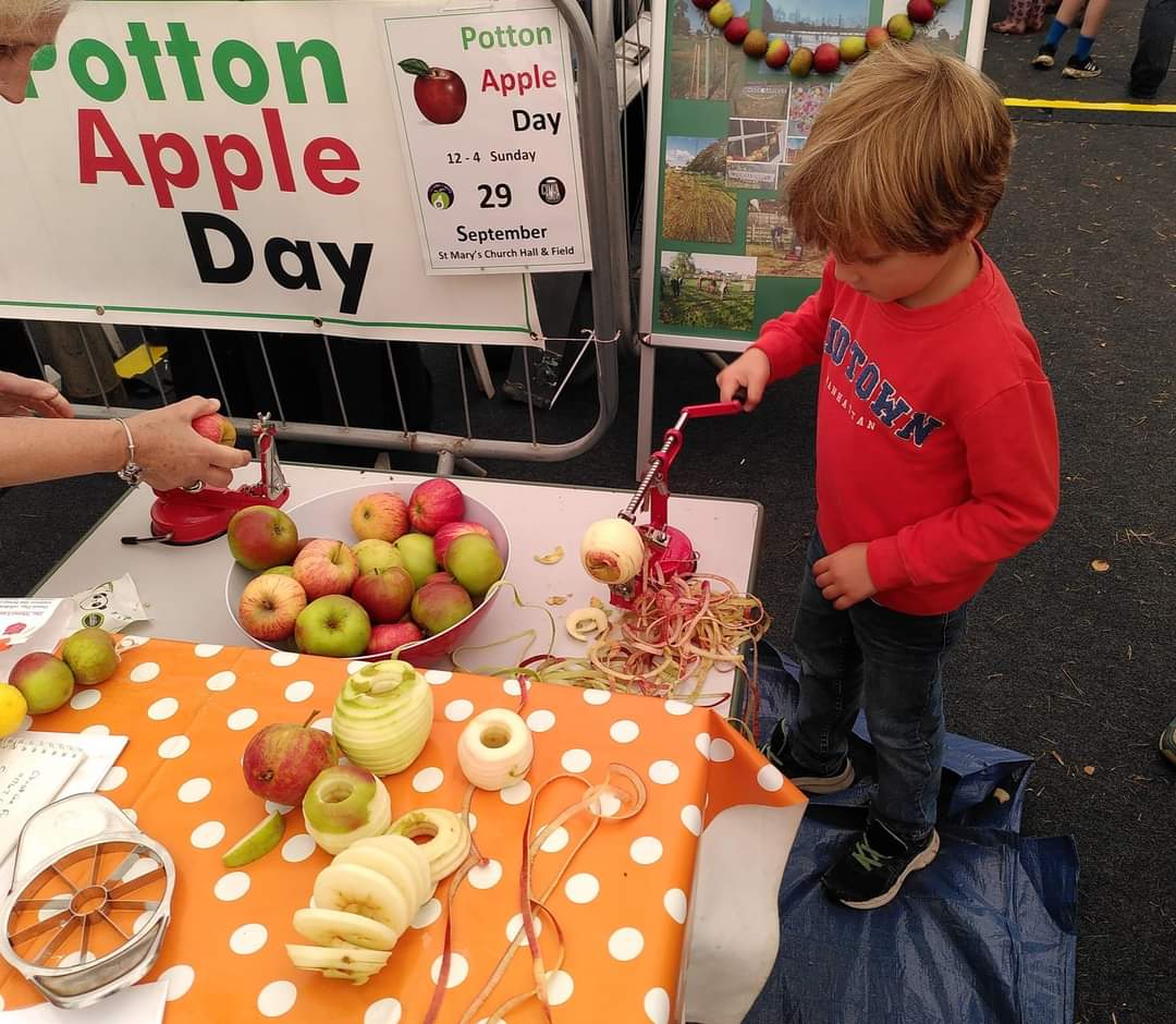 🍎 FREE APPLE DAY - POTTON 🍏 - Event Image 2 September 29, 2024 12:00 PM