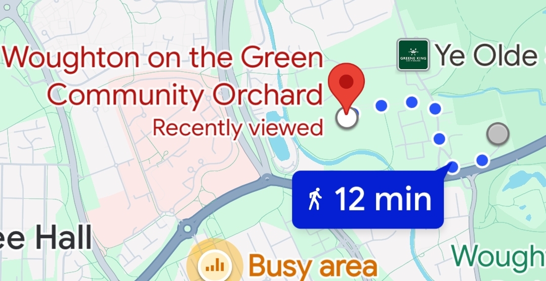 🍎 FREE ENTRY Apple Day - Houghton on the Green, Community Orchard - Milton Keynes - Event Image 2 October 19, 2024 11:00 AM