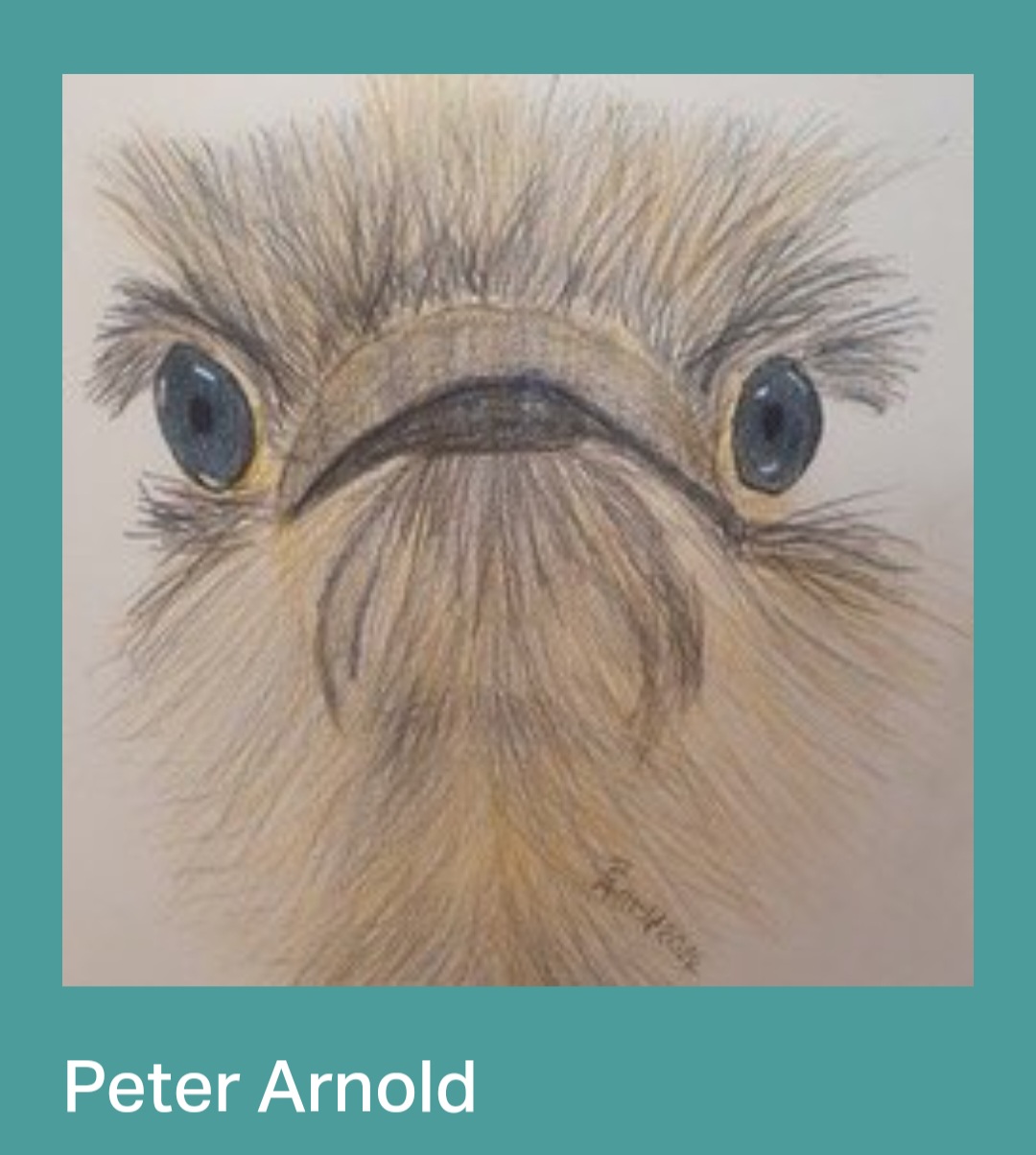 🖼 FREE ENTRY Pop-Up Art Exhibition & Sale - MS Therapy Centre, Bedford - Event Image 3 October 05, 2024 10:00 AM