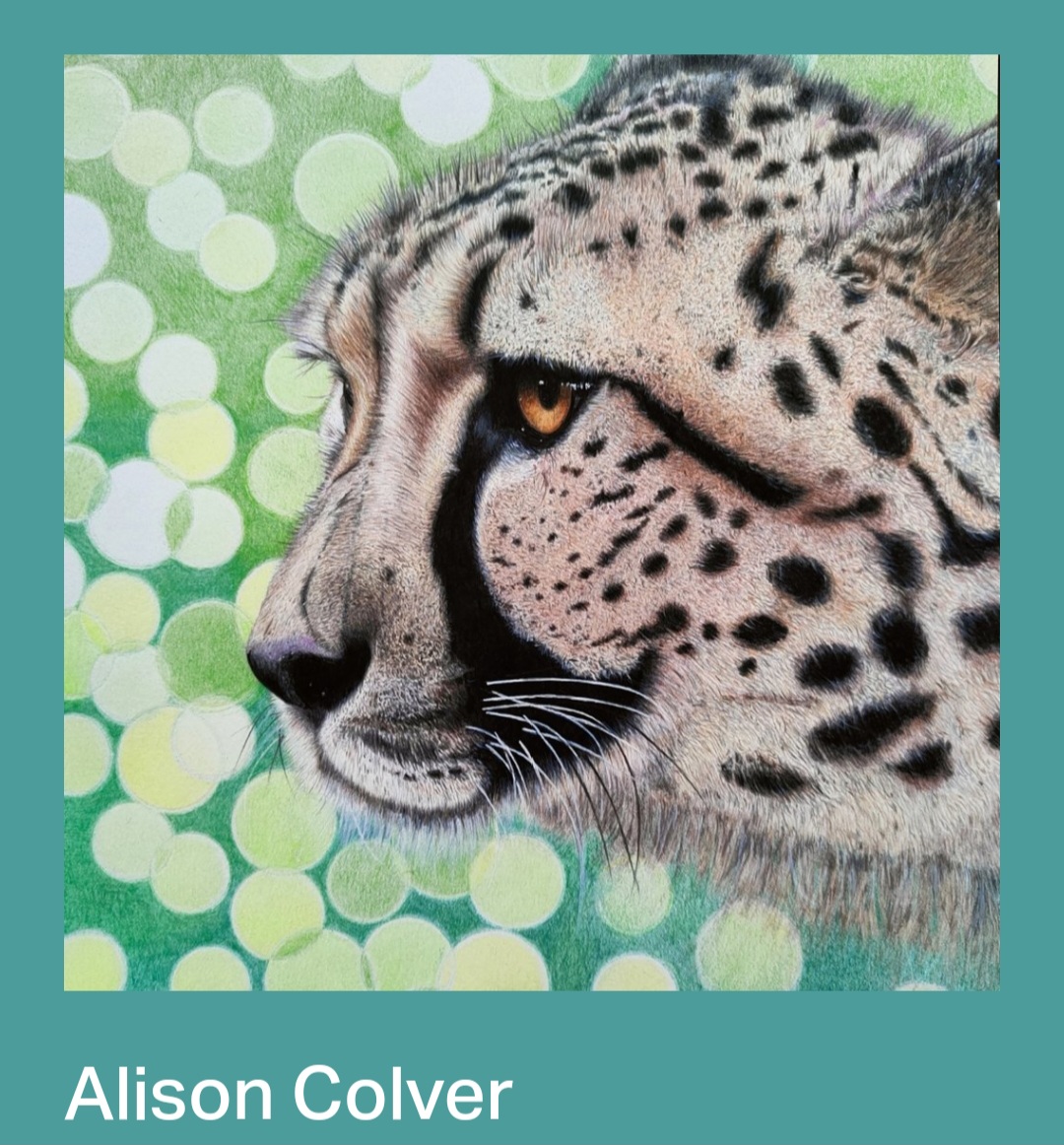 🖼 FREE ENTRY Pop-Up Art Exhibition & Sale - MS Therapy Centre, Bedford - Event Image 9 October 05, 2024 10:00 AM