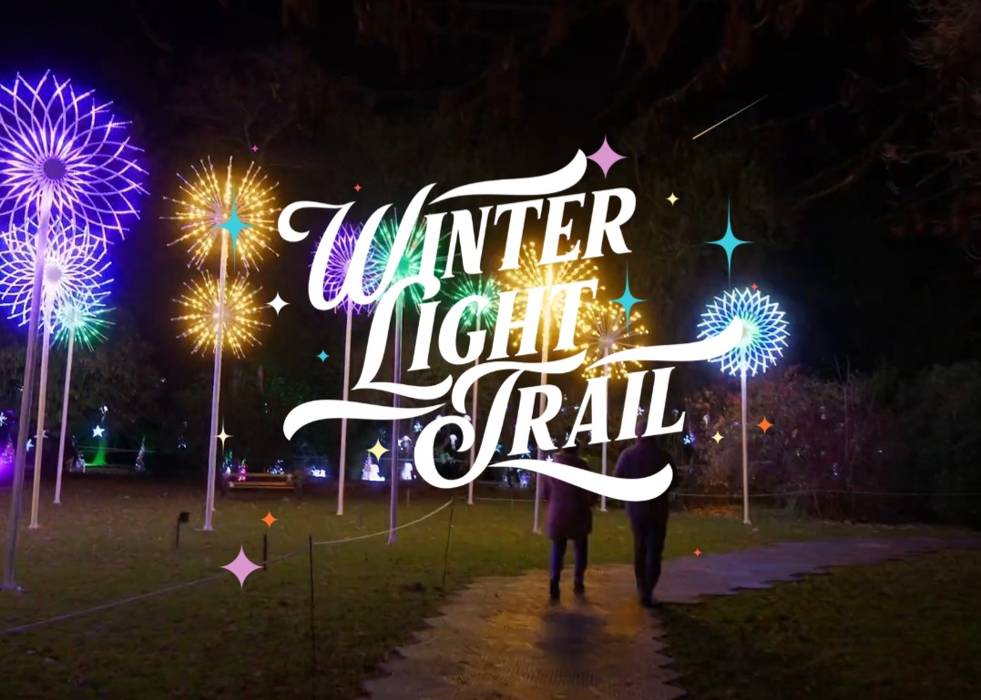 ✨️ Northampton Winter Light Trail - Event Image 2 December 01, 2024 