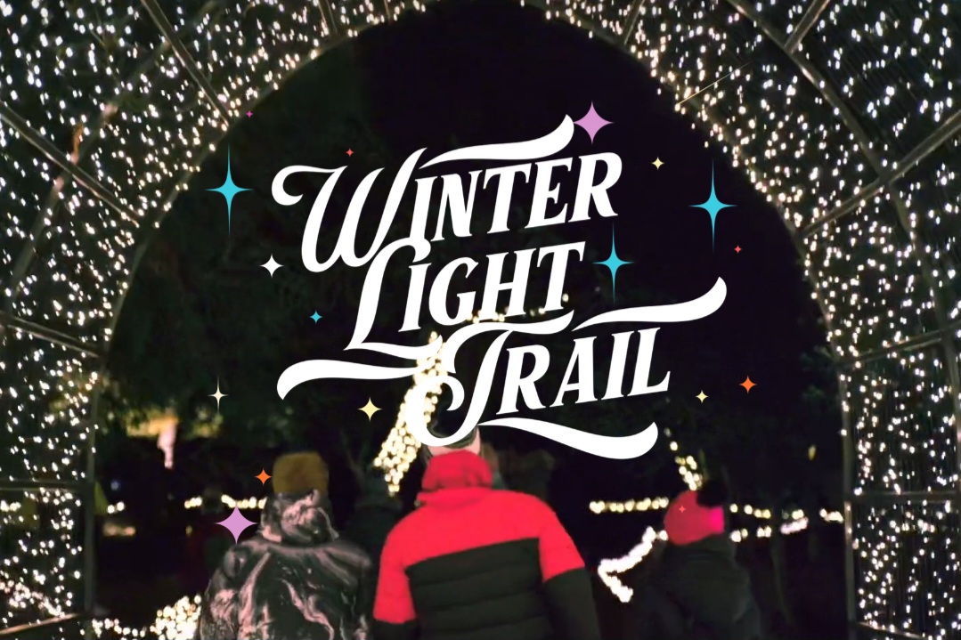 ✨️ Northampton Winter Light Trail - Event Image 6 December 01, 2024 