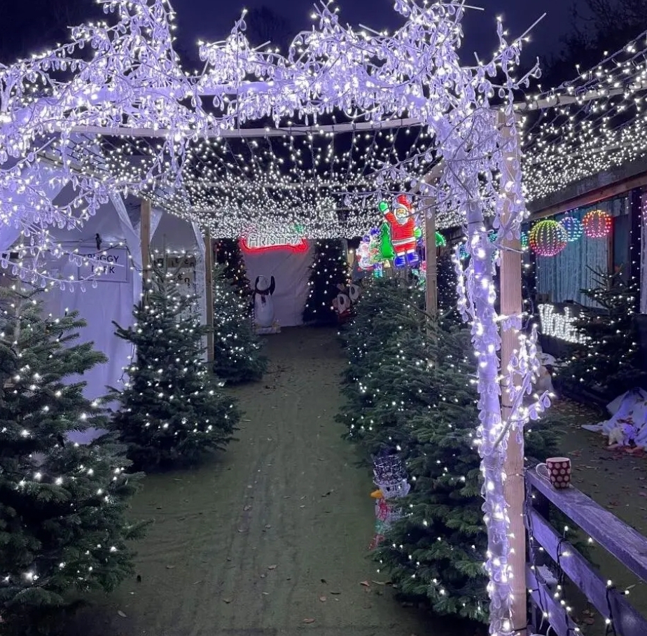 🎅 Santa's Grotto 50 Minutes Experience - The Olde Watermill - Barton-le-clay     - Event Image 2 December 01, 2024 