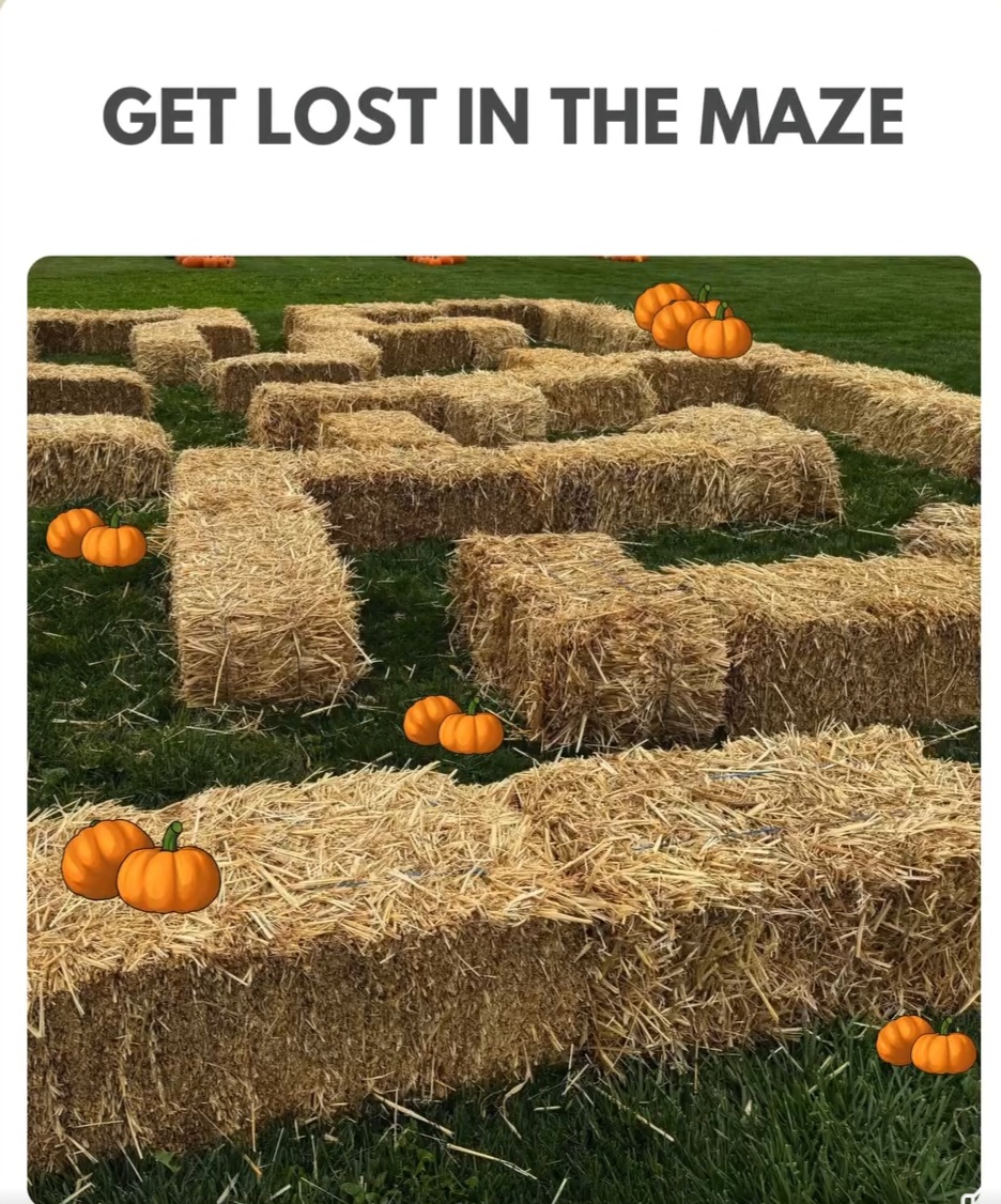 🎃 FREE ENTRY The Patch at the Rec - Bletchley  - Event Image 5 October 31, 2024 11:00 AM