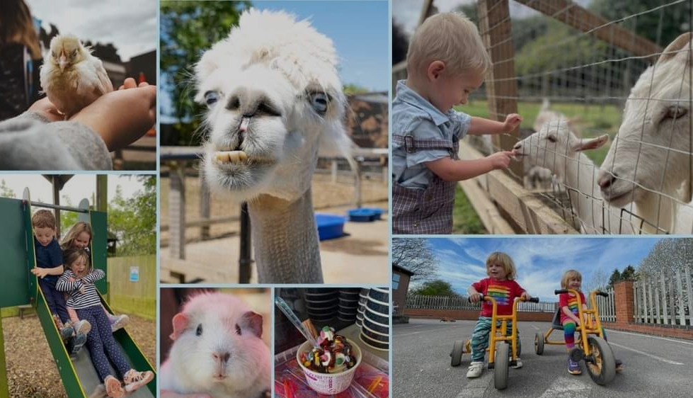🎃 Halloween at Woodside Animal Farm 2024 - Luton   - Event Image 4 October 28, 2024 10:00 AM